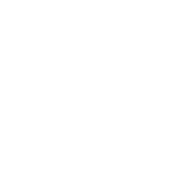 Suporte técnico especializado
